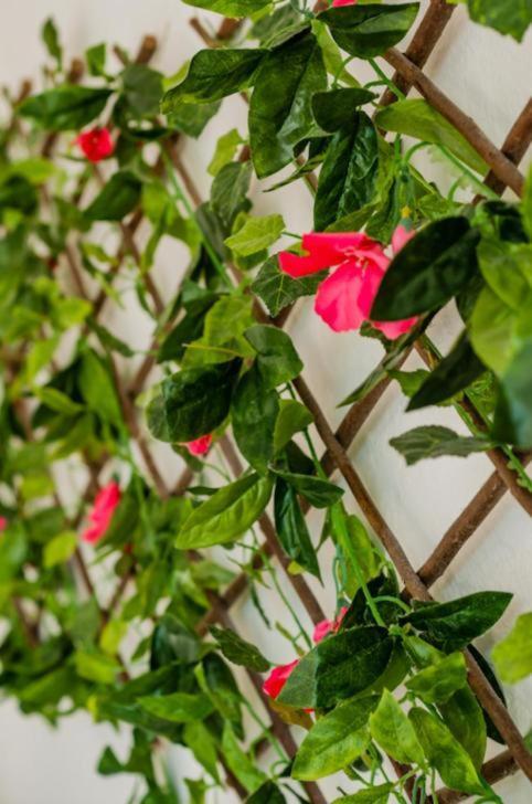 Apartament Amazing Location & Great Price Cancún Zewnętrze zdjęcie
